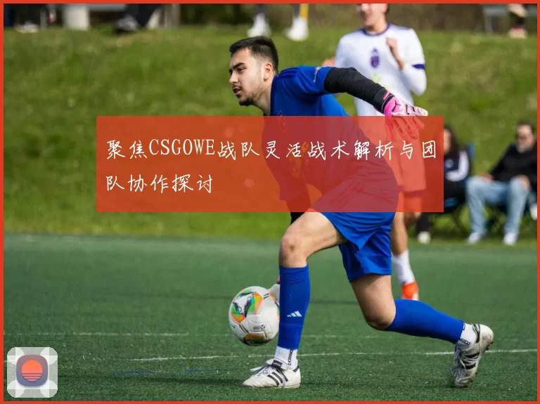 聚焦CSGOWE战队灵活战术解析与团队协作探讨
