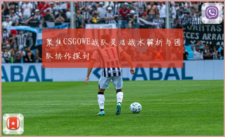 聚焦CSGOWE战队灵活战术解析与团队协作探讨