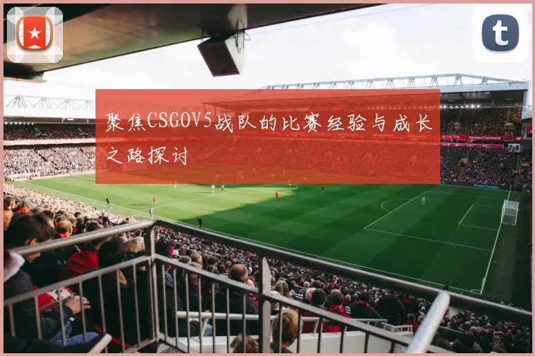 聚焦CSGOV5战队的比赛经验与成长之路探讨