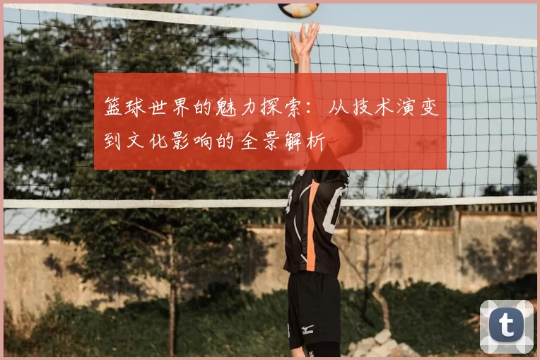 篮球世界的魅力探索：从技术演变到文化影响的全景解析