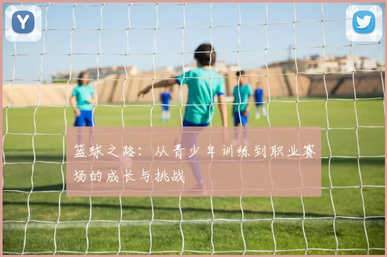 篮球之路：从青少年训练到职业赛场的成长与挑战