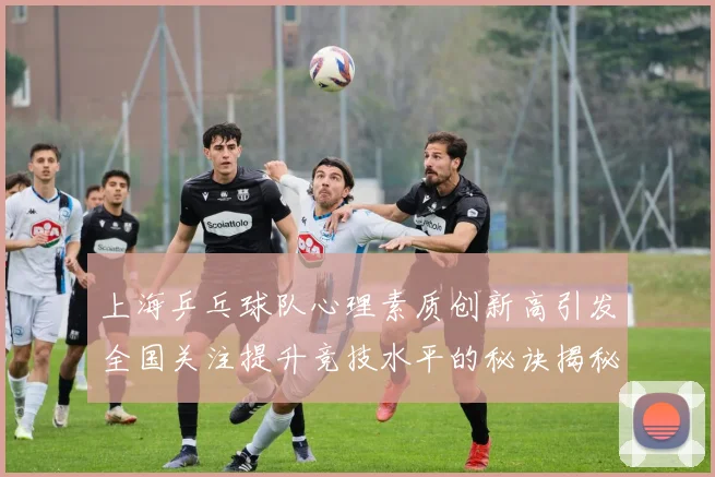 上海乒乓球队心理素质创新高引发全国关注提升竞技水平的秘诀揭秘