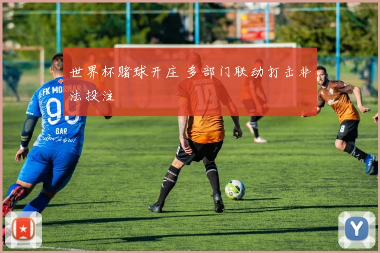 世界杯赌球开庄 多部门联动打击非法投注