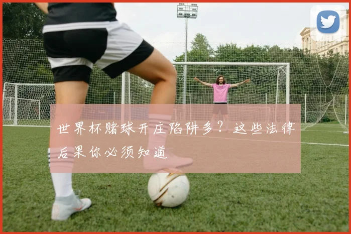 世界杯赌球开庄陷阱多？这些法律后果你必须知道