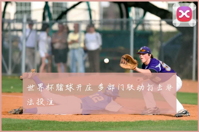 世界杯赌球开庄 多部门联动打击非法投注