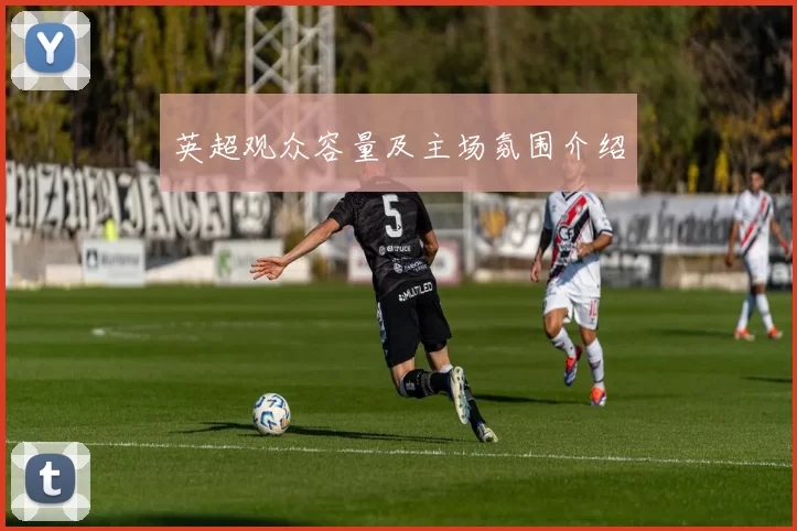 英超观众容量及主场氛围介绍